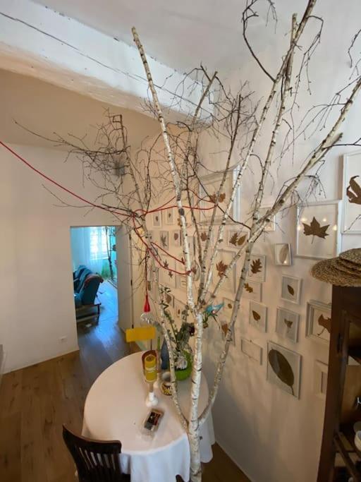 Ferienwohnung Casa Degli Alberi Turin Exterior foto