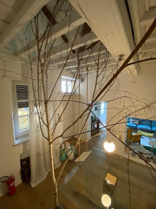 Ferienwohnung Casa Degli Alberi Turin Exterior foto